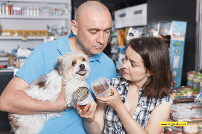 What is a Pet Credit Card? Your Guide to Financing Your Dog's Care